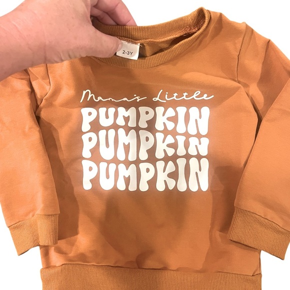 Other - CUTE! Orange Pumpkin Sweatshirt Girls 2 yr Halloween Shirt LIKE NEW